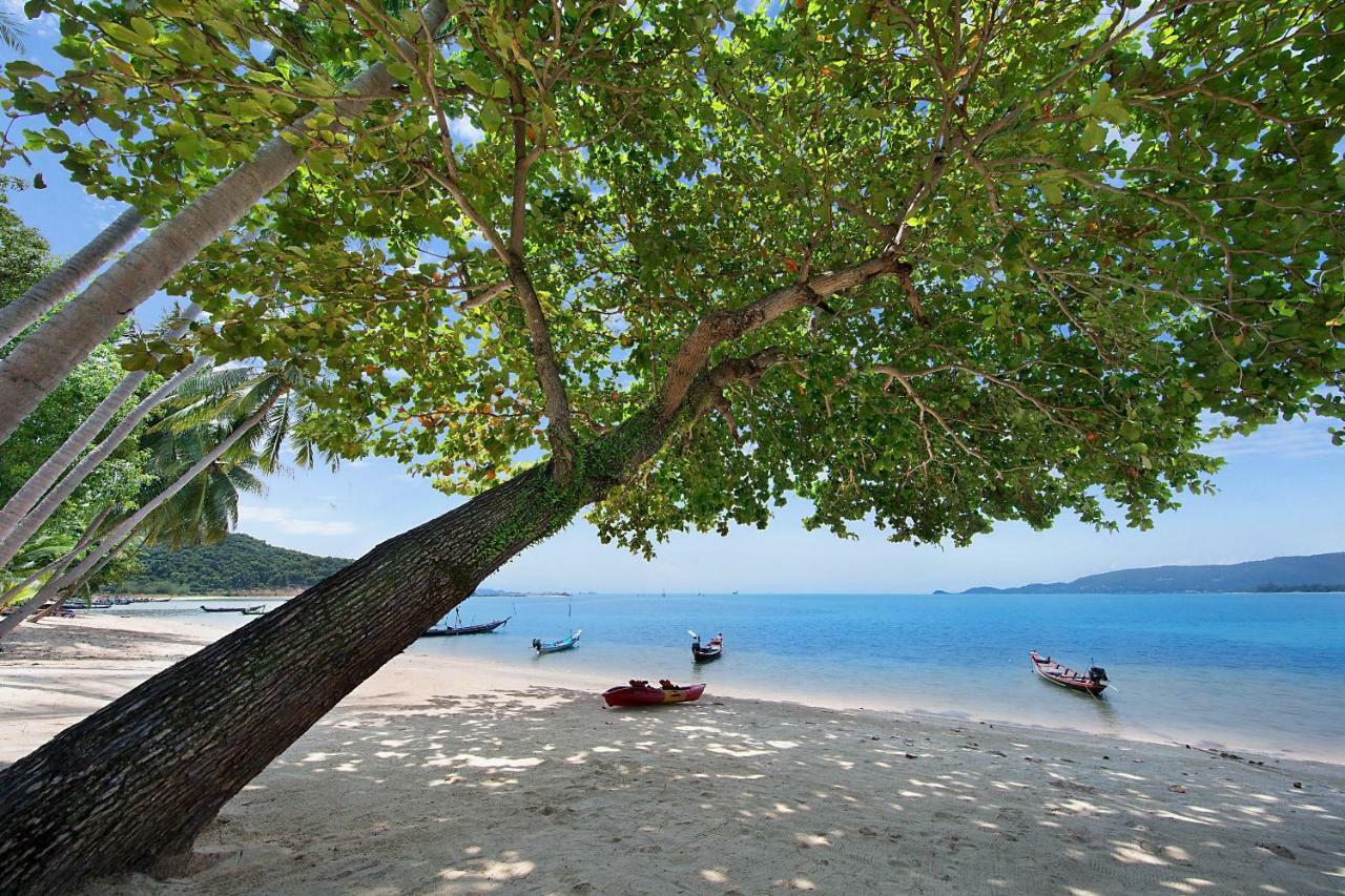 Baan Chao Lay Villa Lipa Noi Exteriör bild